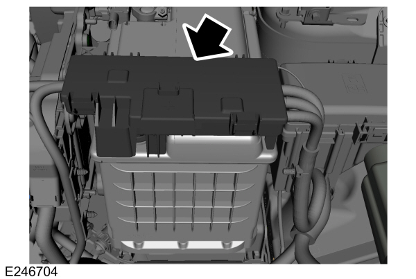 Ford EcoSport (2018-2019) – Sicherungskasten