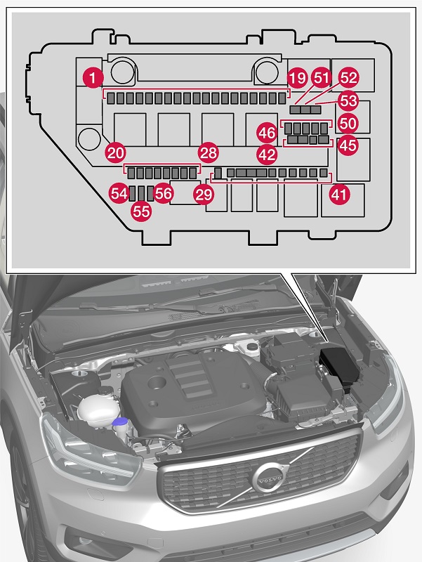 Volvo XC40 (2020-2022) – Sicherungskasten